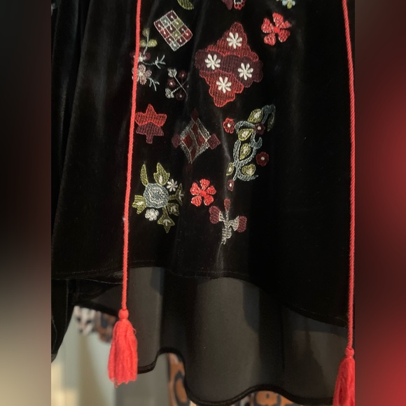 Zara Embroidered Velvet Top - Picture 6 of 8